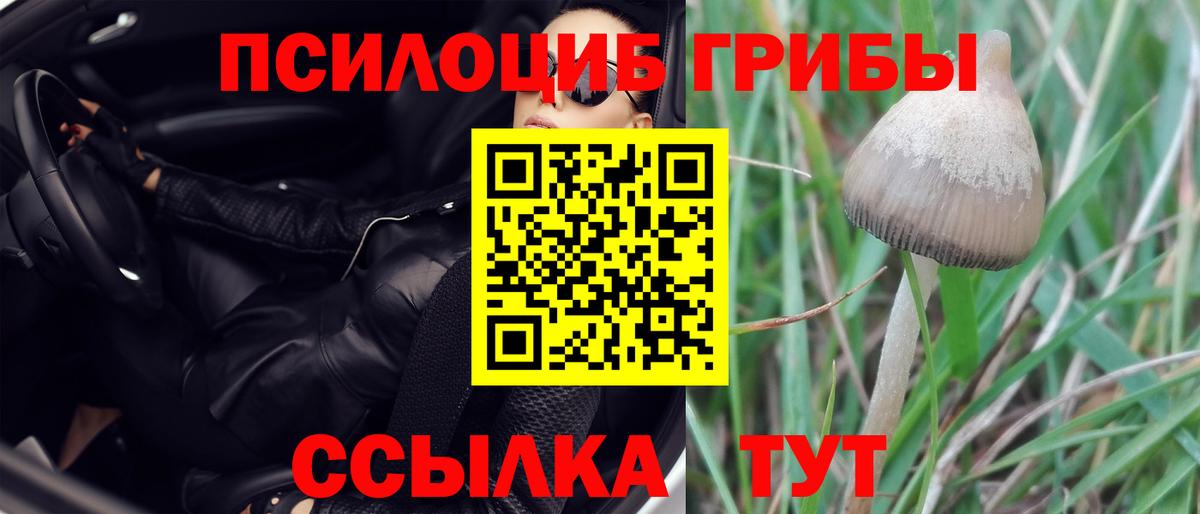 Галлюциногенные грибы GOLDEN TEACHER  как найти наркотики  Вход с VPN  Конаково  Галлюциногенные грибы ЛСД 